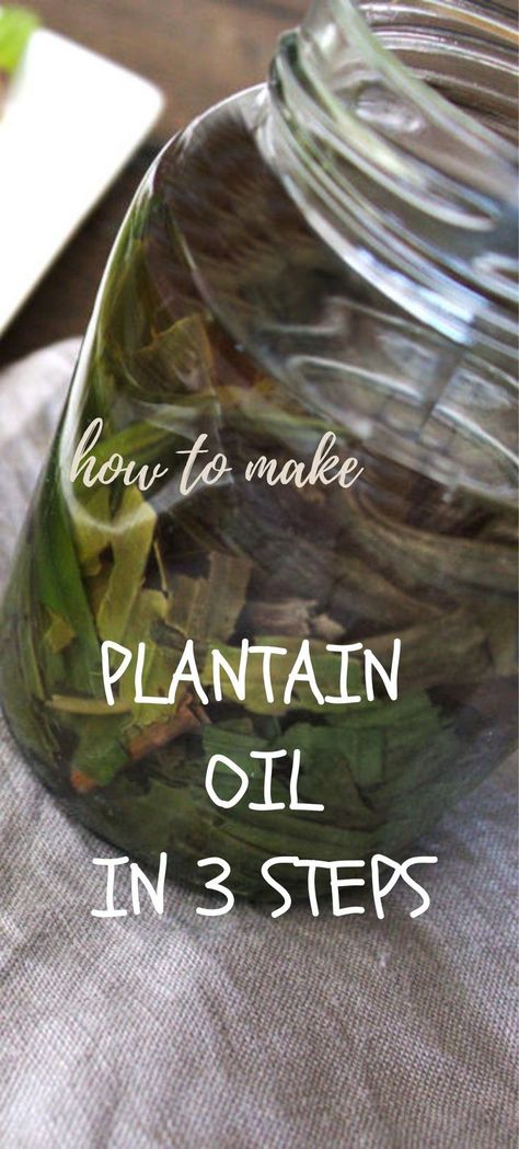 plantain oil Plantain Oil, How To Make Plantains, Medicinal Herbs Remedies, Diy Natural Beauty Recipes, Homemade Beauty Recipes, Medicinal Herbs Garden, Herbal Salves, Infused Oil, Natural Beauty Recipes