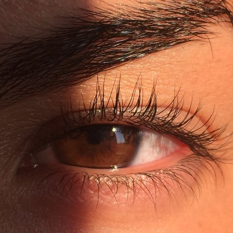 ~MY~ eye Light Tan Skin, Brown Eyes Aesthetic, Attractive Eyes, Long Eyelashes, Light Film, Golden Eyes, Dark Brown Eyes, Eye Photography, Aesthetic Eyes