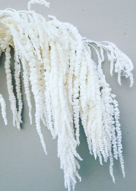 mayesh-weddings-flower-bouquets-floral-arrangements-wholesale-events-bride-flowers-garden Hanging Amaranthus Centerpiece, Hanging Amaranthus Bouquet, White Amaranthus, Hanging Amaranthus Wedding Arch, White Hanging Amaranthus, Bleached Amaranthus, Amaranthus Installation, Black Plums, Led Lighting Bedroom