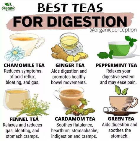 Tea For Stomach Ache, Teas For Digestion, Indigestion Remedies, Tea For Digestion, Best Teas, Fennel Tea, Tea Remedies, Medicinal Tea, Healing Tea