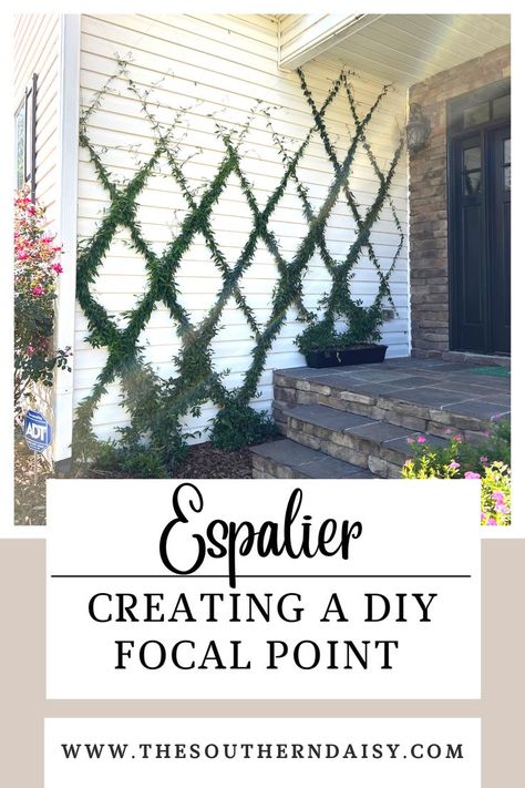 Exterior House Decor Wall, Outdoor House Wall Decor, Espalier Wall, Large Outdoor Wall Decor, Large Blank Wall, Carolina Jasmine, Entry Wall, My Own Home, Focal Wall