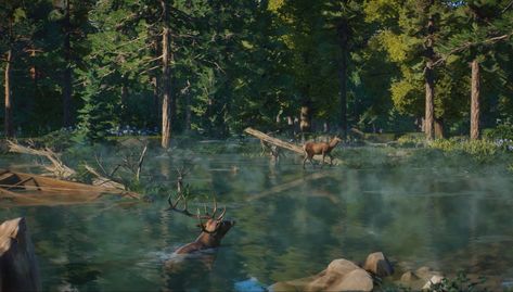 Deer Habitat, Prehistoric Kingdom, Zoo Boo, Planet Zoo Inspiration, Zoo Inspiration, Zoo Design, Zoo Architecture, Exhibit Ideas, Zoo Ideas