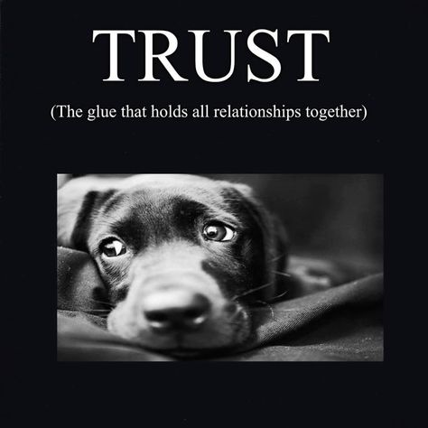 #quotes #dogs #trust #relationships Mediums Of Art, Dogs Trust, Mans Best Friend, Dogs And Puppies, Dog Cat, Best Friends, Puppies, The Originals, Dogs