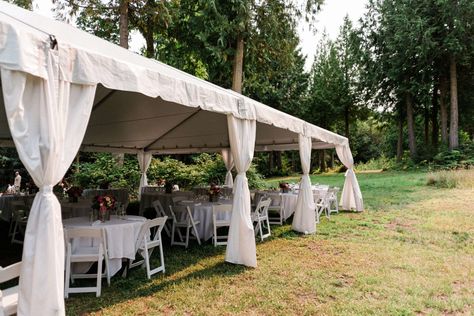 Misty Clover Farm Wedding | Olympic Peninsula's Stunning Forest Grassy Meadow, Woodsy Wedding, Farm Wedding Venue, Into The Forest, Olympic Peninsula, Cedar Trees, Breathtaking Wedding, Olympic National Park, Forest Wedding