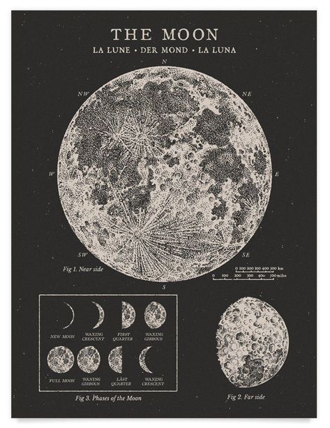 Vintage Astronomy Prints, Grunge Posters, 달력 디자인, Picture Collage Wall, Wallpaper Vintage, Photo Wall Collage, Vintage Poster Art, Art Collage Wall, Picture Collage