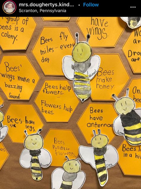 All About Bees, Name Activities Preschool, Bee Life Cycle, Child Development Activities, Bee Crafts For Kids, Insects Preschool, Bee Activities, Bee Classroom, Cool Facts