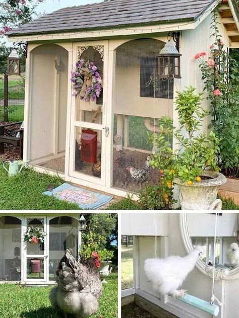 Country garden chicken coop, and more creative backyard chicken coop ideas. | The Most Beautiful Chicken Coops We've Ever Seen Dollhouse Chicken Coop, Shabby Chic Chicken Coop, Tiny Chicken Coop, Chicken Coop And Garden Layout, Aesthetic Chicken Coop, Barnyard Chickens, Mini Homestead, Babydoll Sheep, Chicken Coop Blueprints