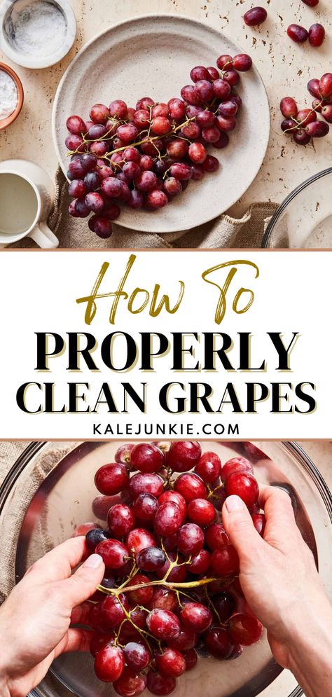 Learn How To Properly Clean Grapes right here with this easy tutorial! Do your grapes always look dusty and gray? Here are a few simple and easy tricks to getting that dry and dull film off of your grapes so you have the most perfect, clean, shiny, and delicious poppable fruits! How To Clean Grapes With Vinegar, How To Clean Grapes Baking Soda, How To Clean Grapes, Cleaning Grapes, How To Wash Grapes, Clean Grapes, Kalejunkie Recipes, Freezing Food Guide, Cleaning Fruit