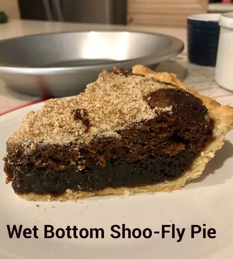 Shoe Fly Pie Recipe, Shoe Fly Pie, Shoo Fly Pie, Shoofly Pie, Amish Food, Homemade Pies, Moon Pies, Shoo Fly, Pie Day