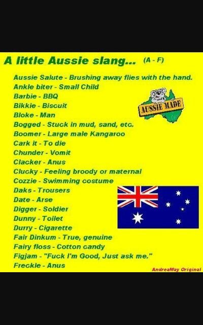 Aussie Slang Male Kangaroo, Aussie Party, Funny Aussie, Aussie Slang, Australian Beer, Australian Slang, Australian Accent, Slang Phrases, Swimming Outfits