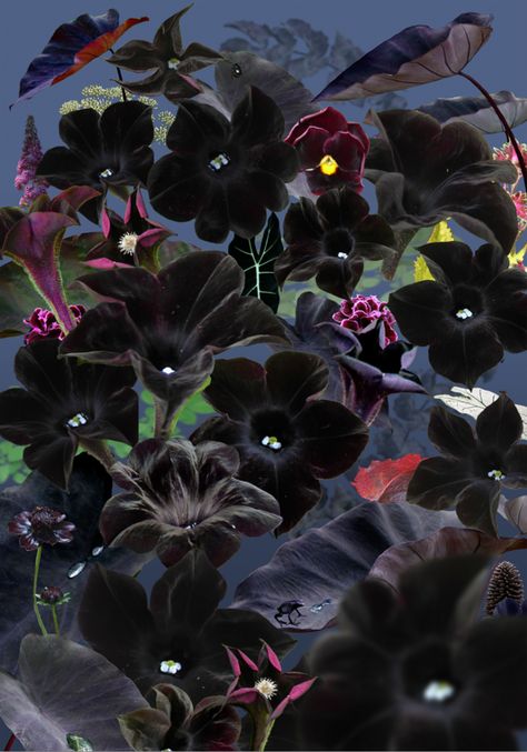 Ruud van Empel’s uncanny photographs blend artificiality with naturalism | It's Nice That Straight Photography, Phone Background, Contemporary Photography, Traditional Paintings, Create Photo, Color Photography, Beautiful Flowers, Illustration Art, Roses