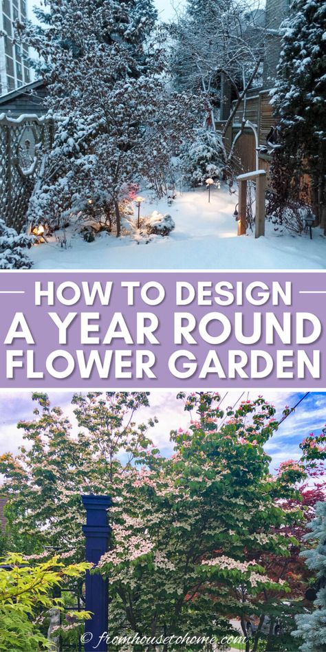 We all want a flower garden that looks good year-round. This four season garden tour will show you some ideas to make your own landscape design into an all-season one, complete with plant pictures and inspiration! #fromhousetohome #landscaping 4 Season Landscape Design, All Season Garden Plan, All Year Round Plants Front Yards, 4 Season Garden, All Season Garden, Four Season Garden, All Year Round Plants, Evergreen Bush, Climbing Hydrangea