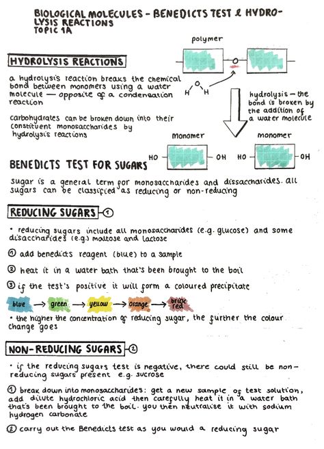 Dehydration Synthesis And Hydrolysis, Biological Molecules A Level, Biological Molecules Notes, Biology Help, Biological Molecules, Igcse Biology, Test Posters, Med School Study, Gcse Chemistry