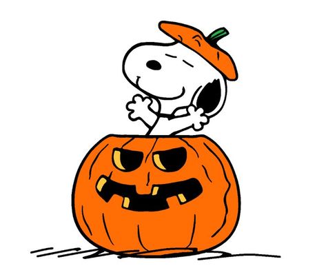 Pumpkin Snoopy, Halloween Wallpaper Cute, Snoopy Halloween, Snoopy Images, Snoopy Wallpaper, Cute Fall Wallpaper, Snoopy Pictures, Snoopy Love, Halloween Icons