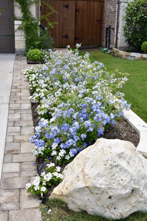 Curb Appeal Garden Front Yards, Suburban Landscaping Front Yard, Front Yard Flower Landscaping, Side Driveway Landscaping Ideas, Side Of Home Landscaping, Front Entry Flower Beds, Front Planters Landscaping, Drive Way Landscape Front Yards, Landscaping Next To Driveway