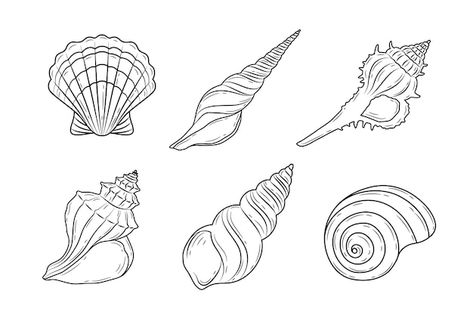 Shellfish Drawing, Matching Shell Tattoos, Cute Shell Tattoo, Seashell Line Tattoo, Spiral Seashell Drawing, Fine Line Conch Shell Tattoo, Simple Conch Shell Tattoo, Shell Line Drawing, Seashell Outline