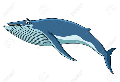 Sea Cartoon, Whale Swimming, Baleen Whales, Blue Cartoon, Nature Ocean, Cartoon Cute, Big Blue, Cartoon Illustration, Mammals