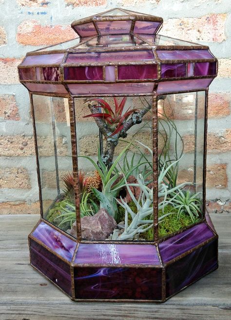 Love to do custom terrariums for customers. This one I recently did for a friend who found this stained glass terrarium at an estate sale. Stained Glass Terrarium, Plant Terrarium, Air Plant Terrarium, Glass Inspiration, Stained Glass Window Panel, Terrariums Kits, Glass Box, Stained Glass Diy, Stained Glass Crafts