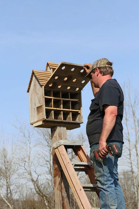 Purple Martin House Purple Martin House Plans, Purple Martin Birdhouse, Martin Bird House, Martin Bird, Purple Martin House, Homemade Bird Houses, Purple Martin, Open Sesame, Bird Houses Ideas Diy