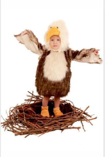 Eagle costume Pacman Ghost Costume, Bald Eagle Costume, Best Baby Costumes, Scary Couples Costumes, Eagle Costume, Baby Yoda Costume, Deer Halloween Costumes, Superhero Halloween Costumes