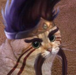 Kitty Draven Draven League Of Legends, Camille League Of Legends, Legend Cat, Lol Champions, Just Juice, Pinterest Memes, Cat Icon, Lol League Of Legends, Anime Eye Drawing