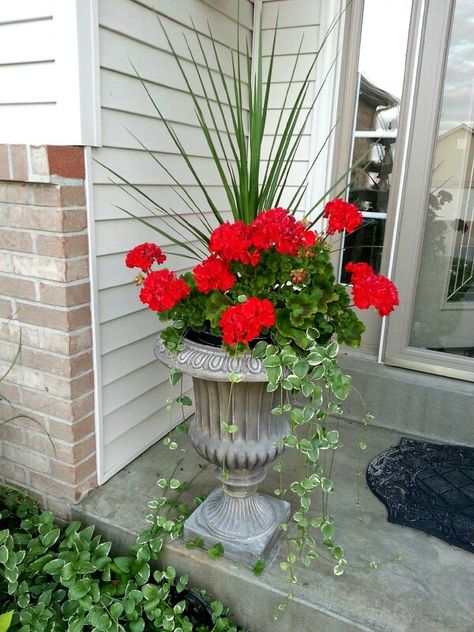 Geranium Planter Ideas, Porch Flower Pots, Geranium Planters, Front Porch Flower Pots, Patio Flower Pots, Geraniums Garden, Potted Plants Patio, Potted Geraniums, Patio Flowers