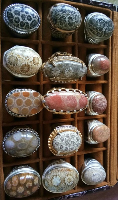 Fossil Ring, Silversmith Jewellery, Rocks And Fossils, Jewelry Education, Fossil Jewelry, Fossil Coral, Dope Jewelry, Coral Jewelry, Rocks And Gems