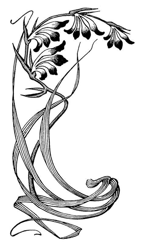 Fiori Art Deco, Art Deco Tattoo, Art Nouveau Tattoo, Motifs Art Nouveau, Nouveau Tattoo, Iris Art, Art Nouveau Illustration, Art Nouveau Design, Art Simple