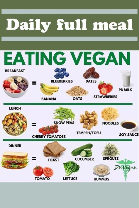 Dr Vegan, Vegan Food List, Veg Meals, Calorie Snacks, Full Day Of Eating, Vegan Diet Plan, Day Of Eating, Courge Spaghetti, Eating Vegan