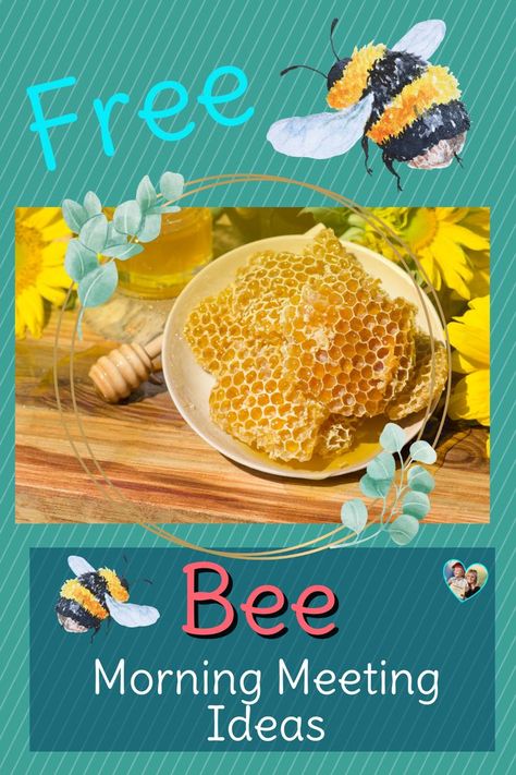 Free Bee themed Lesson plan and morning meeting ideas by Individualized Education for Everyone LLC Lifecycle Of A Bee, Bee Kindergarten, Lesson Plan For Preschool, How Bees Make Honey, Letter B Activities, Lesson Plan Ideas, Feasts Of The Lord, Bee Activities, Bee Classroom