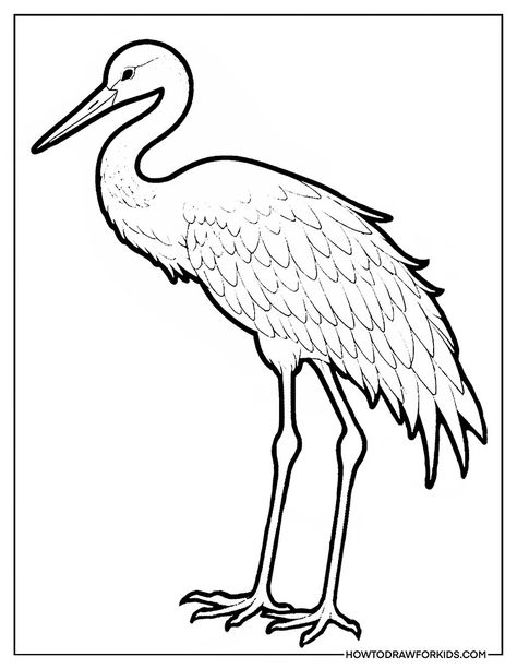 Crane Bird Coloring Pages - Free Printables Crane Coloring Page, Simple Crane Drawing, Sandhill Crane Drawing, Crane Drawing Simple, Crane Drawing, Bird Coloring, Bird Coloring Pages, Detailed Coloring Pages, Animals Coloring