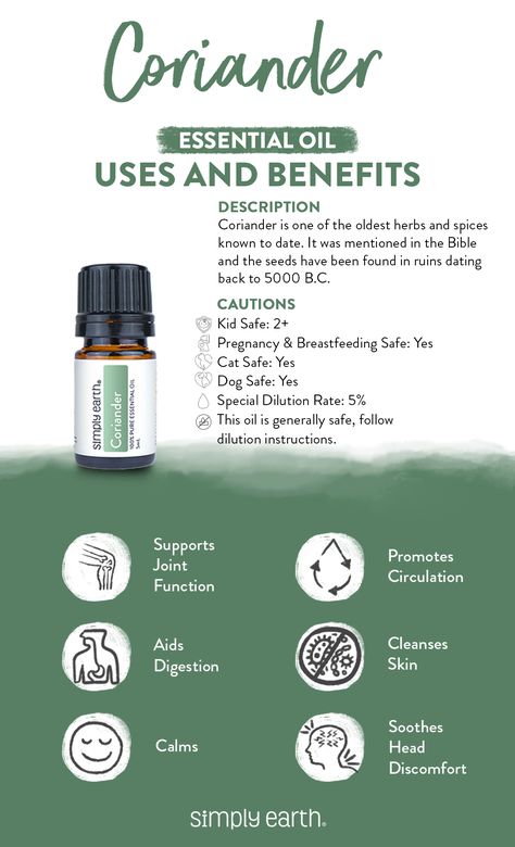 Discover the wonders of Coriander Essential Oil! 🌿   This little bottle packs a punch with its calming effects and soothing digestive powers. Imagine unwinding after a long day or supporting your digestive health naturally—Coriander Essential Oil makes it possible! 💚 Essential Oil Meanings, Coriander Essential Oil, Essential Oil Chart, Coriander Oil, Cleaning Your House, Simply Earth, Essential Oil Education, List Of Essential Oils, Essential Oils 101