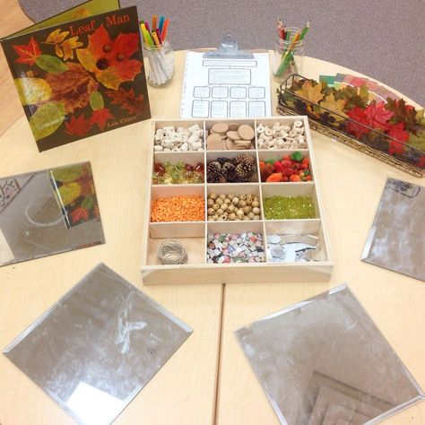 Reggio Tree Provocations, Provocation Ideas, Reggio Inspired Classrooms, Inquiry Learning, Reggio Classroom, Leaf Man, Seasonal Changes, Tree Study, Fall Kindergarten