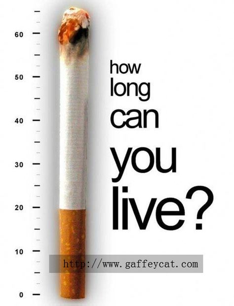 No Smoking, please. 광고 디자인, Fast Facts, Fact Sheet, The Words, Helpful Hints, Marketing