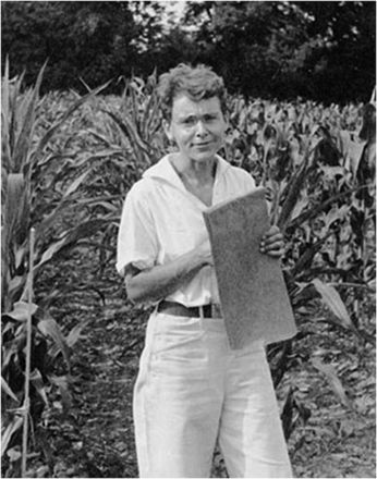 Barbara McClintock on Defining the Unstable Genome The Golden Lady, Barbara Mcclintock, Cold Spring Harbor, Genetic Engineering, Womens History Month, The Genius, Nobel Prize, Famous Women, Inspirational People