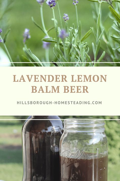 Mead Recipe, Herbal Academy, Beer Recipe, Brewing Recipes, Lavender And Lemon, Homemade Soda, Homemade Beer, Homebrew Recipes, Probiotic Benefits