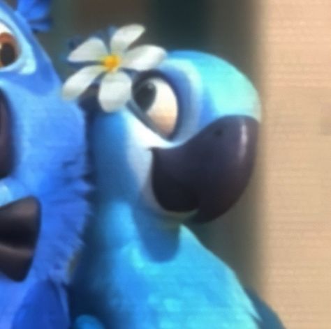 Blue And Jewel Rio Matching Pfp, Matching Pfp Movies, Bird Matching Pfp, Rio Matching Pfp, Rio Pfp, Disney Matching Pfp, Jewel From Rio, Pfp 2 People, Jewel Rio