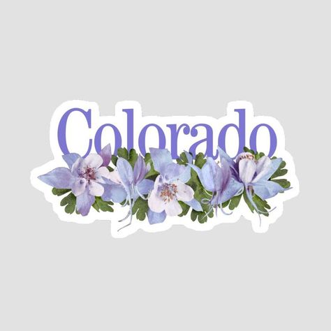 colorado rocky mountain columbine state flower sticker Colorado Drawing, Colorado State Flower, Living In Colorado, Love Painting, Rocky Mountain, Rocky Mountains, Flower Gift, Vintage Illustration, Wall Collage