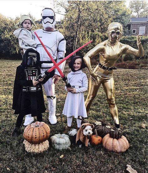 Family Costumes Starwars, Star Wars Family Halloween Costumes, Themed Family Halloween Costumes, Star Wars Family Costumes, Family Costumes For 3, Star Wars Halloween Costumes, Halloween Costumes For Family, Star Wars Halloween, Disney Halloween Costumes