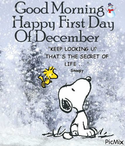 December 1st Quotes, Welcome December Images, Welcome December Quotes, Hello December Quotes, Hello December Images, First Day Of December, Welcome December, December Quotes, Keep Looking Up