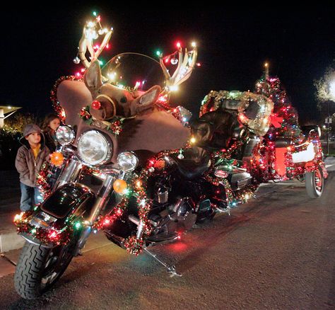 Santa’s got a new ride!! Shoreline Harley-Davidson www.shorelinehd.com Motorcycle Christmas, Christmas Parade, Led Christmas Lights, Valentine Photography, Christmas Music, Christmas Pictures, Festive Christmas, All Things Christmas, Christmas Photos