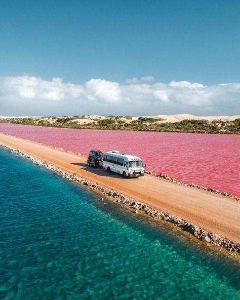 Australia on Instagram: “Roll call: who’s on board for a colourful #roadtrip to @southaustralia’s #LakeMacDonnell? 🙋🏻 According to @jaxonfoale, “rumour has it that…” Hutt Lagoon, Pink Lake, Places On Earth, Travel Outdoors, Instagram Worthy, Beautiful Places To Travel, South Australia, Magical Places, Travel Inspo