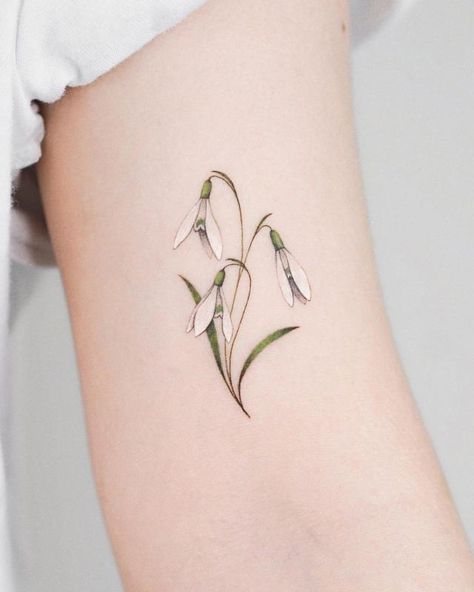 January Birth Flowers Snowdrop 1 Snowdrop Flower Tattoo Designs, Snowdrop Flower Tattoo Color, Snow Drops Tattoo, Snowdrop Tattoo Design, Snow Drop Flower Tattoo, Snowdrop Flower Tattoo, January Flower, Tattoos For Females, Snowdrop Flower