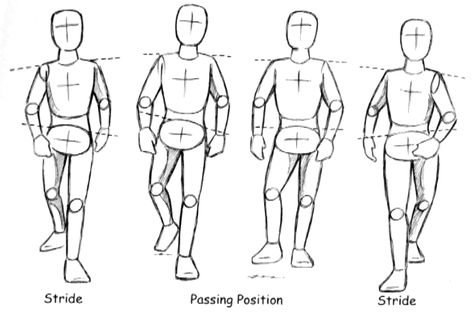 walking forward drawings | Prof. Spevack | 2D Animation | AD540 Walking Forward Animation, Person Walking Towards Camera Reference, Walking Drawing Reference Front View, Walking Base Drawing, Person Walking Reference Front View, Person Walking Drawing Reference, Anime Walking Pose Reference, Walking Animation Reference, Walking Forward Reference