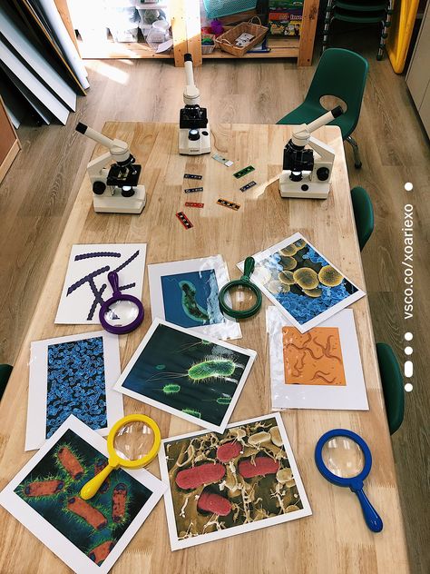 Germs Unit Preschool, Biology For Preschoolers, Germs Anchor Chart, Reggio Emilia Science Activities, Preschool Microscope Activities, Germs Experiment Preschool, Learning About Germs Preschool, Germs Activities For Preschool, Germ Activities For Toddlers