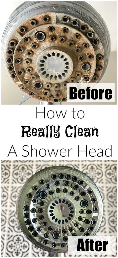 How to REALLY Clean A Shower Head - Lemons, Lavender, & Laundry Clean A Shower Head, Shower Head Cleaner, Removable Shower Head, Cleaning Shower Head, Toilet Stains, Lavender Laundry, Hard Water Stain Remover, Bathroom Diy, Hard Water Stains