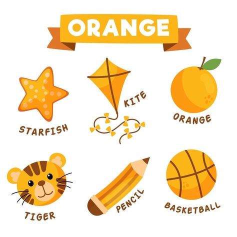 Orange objects and vocabulary set in eng... | Free Vector #Freepik #freevector #school #education #cute #color Orange Objects, Nursery Activities, Cute Colors, Object Drawing, Learning Techniques, School Education, Color Worksheets, Preschool Learning, Children Illustration