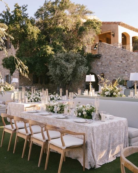 Elevate your reception design with our Ada Banquettes🤍 • Planner: @audreywoodevents Venue: @silverleafclub Floral: @luxflorist Photography: @sammblake Rentals: @primdesigncompany @eventrentsaz @theconfettistudio @epicpartyteam Linen: @bbjlatavola Paper: @christinahowton @papertreestudio • #custommade #eventplanning #weddingvendor #primdesignco #eventrentals #rentalfurniture #eventrentalcompany #eventdesign #furniturerentals #weddingrentals #weddingvendors #eventrental #weddingceremony #w... Arizona Wedding Venues, Reception Design, Wedding Rentals, Wedding Chairs, Arizona Wedding, My Job, Event Rental, Banquette, Be Bold