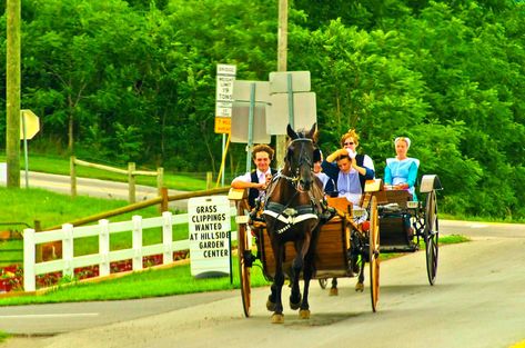 Amish Traditions, Rumspringa, Food Spoilage, Clean Homes, Amish Community, Food At Home, Amish Country, Budget Printables, Flower Patch