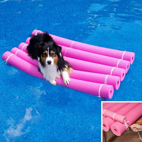 Crafty Water Raft Pool Noodle Ideas Life Hacks, Gabe The Dog, Dog Pool Floats, Pool Noodle Ideas, Pool Noodle Hacks, Noodle Ideas, Noodle Hacks, Noodle Crafts, Noodles Ideas